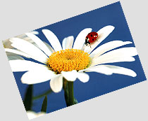 Titelbild